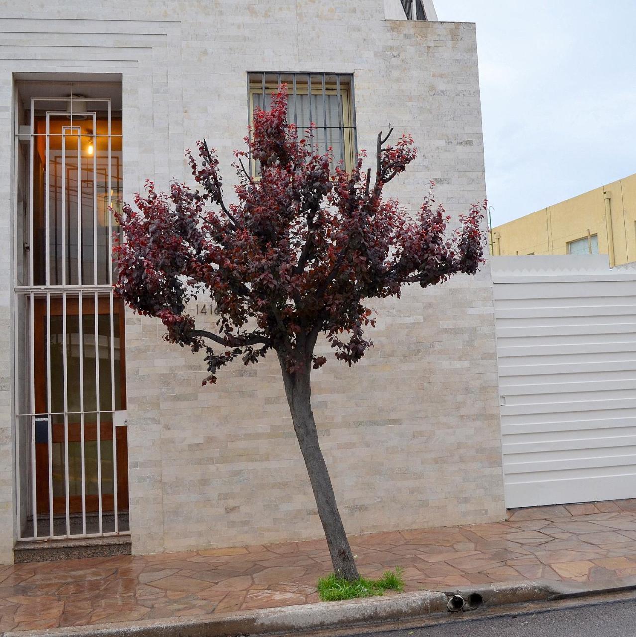 Vía Lavalle Apartamento